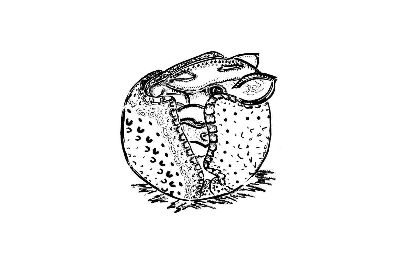 Armadillo in black and white line drawing by WillInked