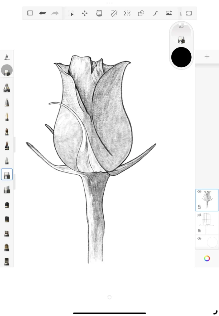 How do draw a rose step 7c