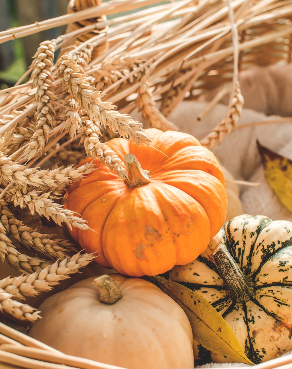 How to Draw a Pumpkin: Easy Step-by-Step Guide