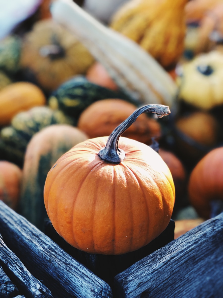 How to Draw a Pumpkin